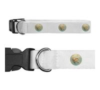 Azeeda Large 'Cute Otter Swimming' Dog Collar (PR00081270)
