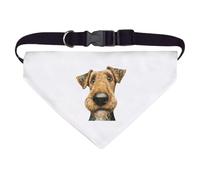 Azeeda Large 'Funny Airedale Terrier' Dog/Cat/Pet Bandana (PD00081288)