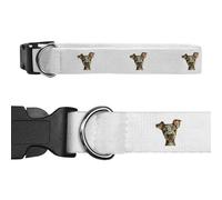 Azeeda Large 'Funny Austrian Pinscher' Dog Collar (PR00080802)