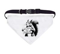 Azeeda Large 'Funny Squirrel Work For Peanuts' Dog/Cat/Pet Bandana (PD00069454)