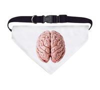 Azeeda Large 'Human Brain' Dog/Cat/Pet Bandana (PD00080772)