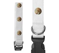 Azeeda Large 'Lion with Lamb' Dog Collar (PR00082800)