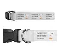 Azeeda Large 'Live For Today' Dog Collar (PR00073168)
