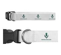 Azeeda Large 'Rooted and Resilient Thistle' Dog Collar (PR00068266)