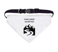 Azeeda Large 'Skiing Challenge Accepted' Dog/Cat/Pet Bandana (PD00068222)