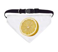 Azeeda Large 'Sliced Lemon' Dog/Cat/Pet Bandana (PD00077292)