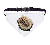 Azeeda Large 'Trilobite Fossil Rock' Dog/Cat/Pet Bandana (PD00069580)