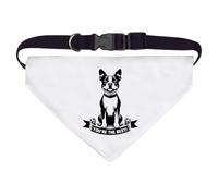 Azeeda Large 'You're The Best' Dog/Cat/Pet Bandana (PD00076000)
