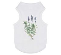 Azeeda 'Lavender Botanical Study' Pet Dog/Cat T-Shirt, M (PT00193398)