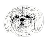 Azeeda 'Lhasa Apso Head' White Premium Vinyl Decal Sticker - Waterproof, Durable & Easy to Apply - Ideal for Car Bumpers, Windows, Bins and More - Medium (100mm) (DW00072666)
