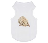 Azeeda 'Lop Eared Rabbit' Pet Dog/Cat T-Shirt, M (PT00180450)