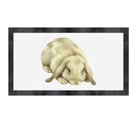 Azeeda 'Lop Eared Rabbit' Pet Feeding Mat (PM00036400)