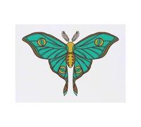 Azeeda 'Luna Moth' Temporary Tattoo - A6 (TO00104435)