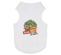 Azeeda 'Mad As A Box Of Frogs' Pet Dog/Cat T-Shirt, XS (PT00161844)