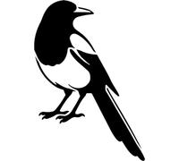 Azeeda 'Magpie Looking Back' Reusable Stencil - Durable Decorative Template for Painting and Spraying on Walls, Tiles, Wood, Fabric & Craft Projects - XXL (A2) (WS00080644)