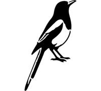 Azeeda 'Magpie Looking Up' Reusable Stencil - Durable Decorative Template for Painting and Spraying on Walls, Tiles, Wood, Fabric & Craft Projects - M (A5) (WS00062088)