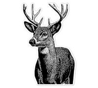 Azeeda 'Male Deer' White Premium Vinyl Decal Sticker - Waterproof, Durable & Easy to Apply - for Car Bumpers, Windows, Bins & More - Large (210mm) (DW00200846)