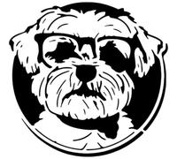 Azeeda 'Maltese Dog with Glasses' Reusable Stencil - Durable Decorative Template for Painting and Spraying on Walls, Tiles, Wood, Fabric & Craft Projects - L (A4) (WS00055531)