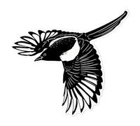 Azeeda Medium 210mm 'Flying Magpie' Clear Static Window Cling Sticker/Decal (Black) (WC00067877)