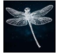 Azeeda Medium 210mm 'Open Winged Dragonfly' Clear Static Window Cling Sticker/Decal (White) (WC00179594)