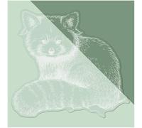 Azeeda Medium 210mm 'Red Panda Portrait' Clear Static Window Cling Sticker/Decal (White) (WC00136699)