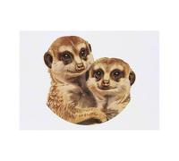 Azeeda 'Meerkat Couple Portrait' Temporary Tattoo - A6 (TO00106181)