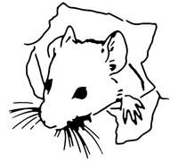 Azeeda 'Mouse Through Hole' Reusable Stencil - Durable Decorative Template for Painting and Spraying on Walls, Tiles, Wood, Fabric & Craft Projects - S (A6) (WS00070110)