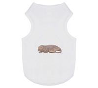 Azeeda 'Naked Mole Rat' Pet Dog/Cat T-Shirt, L (PT00086083)