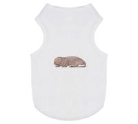 Azeeda 'Naked Mole Rat' Pet Dog/Cat T-Shirt, M (PT00086082)