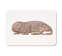 Azeeda 'Naked Mole Rat' Rectangular Fridge Magnet - Decorative Refrigerator & Whiteboard Magnet for Home, Kitchen or Office - 70mm x 49mm (FM00045995)