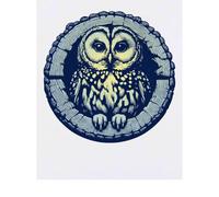 Azeeda 'Night Owl' Temporary Tattoo - Water Resistant, Skin-Safe, Non-Toxic Transfer (TO00099767)