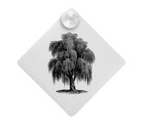 Azeeda 'Old Willow Tree' Suction Cup Car Window Sign (CG00035006)