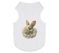 Azeeda 'Ornate Renaissance Rabbit' Pet Dog/Cat T-Shirt, L (PT00183159)