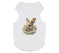 Azeeda 'Ornate Renaissance Rabbit' Pet Dog/Cat T-Shirt, S (PT00183157)