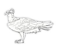 Azeeda 'Osprey Bird' Clear Premium Vinyl Decal Stickers - Waterproof, Durable & Easy to Apply - for Car Bumpers, Windows, Bins & More - XXL (720mm) (DC00157367)