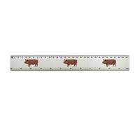 Azeeda 'Ossabaw Island Pig' 30cm (12 Inch) White Plastic Ruler (RL00107848)