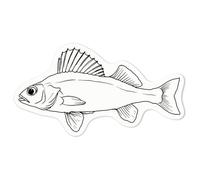 Azeeda 'Perch' White Premium Vinyl Decal Sticker - Waterproof, Durable & Easy to Apply - for Car Bumpers, Windows, Bins & More - Medium (100mm) (DW00068326)