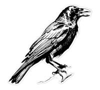 Azeeda 'Perched Crow' Clear Premium Vinyl Decal Stickers - Waterproof, Durable & Easy to Apply - for Car Bumpers, Windows, Bins & More - Large (210mm) (DC00128986)