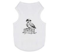 Azeeda 'Pirate Parrot Sitting on Treasure Chest' Pet Dog/Cat T-Shirt, S (PT00180229)