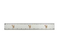 Azeeda 'Pixel Style Savannah Cat' 30cm (12 Inch) White Plastic Ruler (RL00108396)