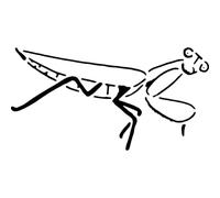 Azeeda 'Praying Mantis' Reusable Stencil - Durable Decorative Template for Painting and Spraying on Walls, Tiles, Wood, Fabric & Craft Projects - S (A6) (WS00064703)