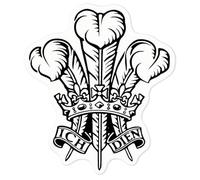 Azeeda 'Prince of Wales Feathers' Clear Premium Vinyl Decal Stickers - Waterproof, Durable & Easy to Apply - for Car Bumpers, Windows, Bins & More - Medium (100mm) (DC00140769)