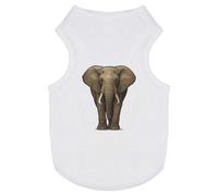 Azeeda 'Proud Elephant' Pet Dog/Cat T-Shirt, M (PT00164546)