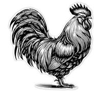 Azeeda 'Proud Rooster' Clear Premium Vinyl Decal Stickers - Waterproof, Durable & Easy to Apply - for Car Bumpers, Windows, Bins & More - XXL (720mm) (DC00160572)