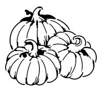 Azeeda 'Pumpkin Patch' Reusable Stencil - Durable Decorative Template for Painting and Spraying on Walls, Tiles, Wood, Fabric & Craft Projects - XL (A3) (WS00073419)