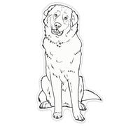 Azeeda 'Pyrenean Mountain Dog' Clear Premium Vinyl Decal Stickers - Waterproof, Durable & Easy to Apply - for Car Bumpers, Windows, Bins & More - XXL (720mm) (DC00157007)