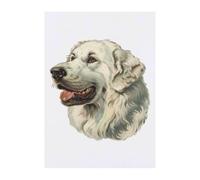 Azeeda 'Pyrenean Mountain Dog' Temporary Tattoo - A6 (TO00077149)