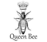 Azeeda 'Queen Bee' Clear Premium Vinyl Decal Stickers - Waterproof, Durable & Easy to Apply - for Car Bumpers, Windows, Bins & More - XXL (720mm) (DC00159663)