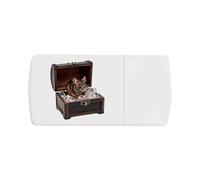 Azeeda 'Rat in Treasure Chest' Pill Box with Tablet Splitter (PI00044375)