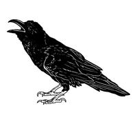 Azeeda 'Raven Calling' Unmounted Rubber Stamp - A8 (RS00042945)